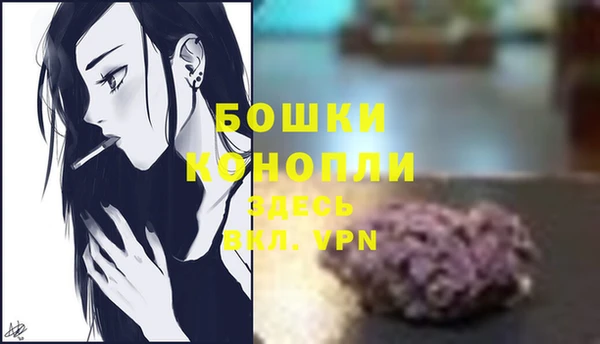 гашик Мегион