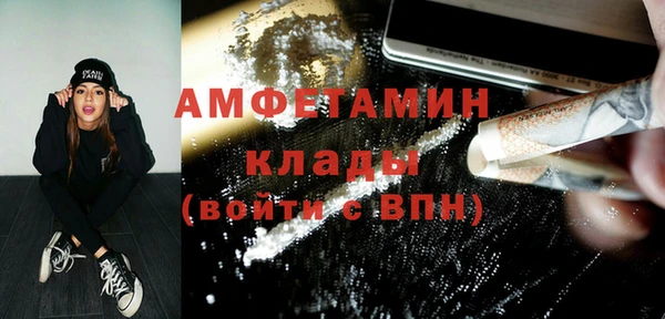 гашик Мегион