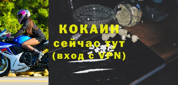 гашик Мегион