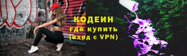 гашик Мегион