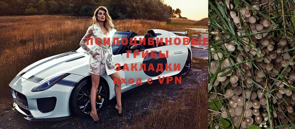 гашик Мегион