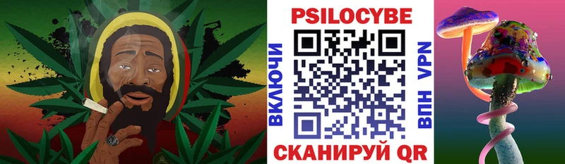 гидра ONION  наркота  Дорогобуж  дарк нет официальный сайт  Псилоцибиновые грибы ЛСД 